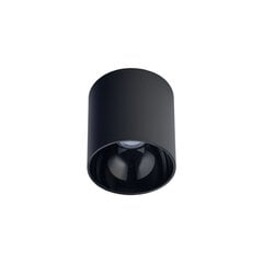 Потолочный светильник Nowodvorski POINT TONE 8225 цена и информация | Потолочные светильники | 220.lv