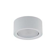 Griestu lampa Nowodvorski FLEA 8202 цена и информация | Потолочные светильники | 220.lv