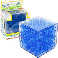Arkādes kubs LABIRINTS 3D puzle cena un informācija | Attīstošās rotaļlietas | 220.lv