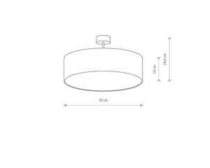 Griestu lampa Nowodvorski VIOLET 7960 цена и информация | Потолочные светильники | 220.lv