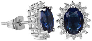 Сверкающие серьги с голубыми кристаллами Troli  цена и информация | Серьги | 220.lv