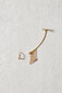 PDPAOLA Rotaļīgi asimetriski sudraba auskari ar cirkoniem PEGASUS Gold AR01-307-U cena un informācija | Auskari | 220.lv