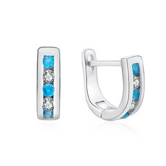 Элегантные серебряные серьги с прозрачными и голубыми цирконами Moiss E0000179 цена и информация | Серьги | 220.lv