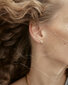 PDPAOLA Maigi apzeltīti gareniski auskari ar caurspīdīgiem cirkoniem WHITE TIDE Gold AR01-431-U цена и информация | Auskari | 220.lv