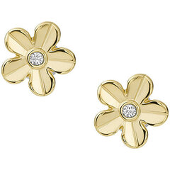 Очаровательные серьги-гвоздики Fossil Flowers Val JF04020710 цена и информация | Серьги | 220.lv