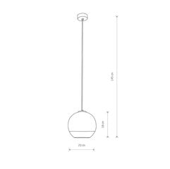 Подвесной светильник Nowodvorski GLOBE PLUS S 7605 цена и информация | Настенный/подвесной светильник Eye Spot 11 BL, чёрный | 220.lv