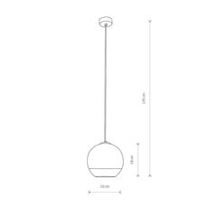 Подвесной светильник Nowodvorski GLOBE PLUS S 7605 цена и информация | Люстры | 220.lv