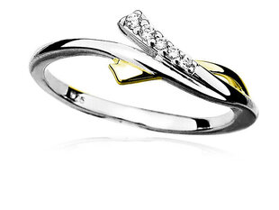 MOISS Очаровательное серебряное двухцветное кольцо с цирконами 0000 руб. цена и информация | Кольца | 220.lv