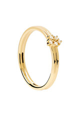 PDPAOLA Burvīgs zeltīts gredzens ar cirkoniem NOVA Gold AN01-615 cena un informācija | Gredzeni | 220.lv