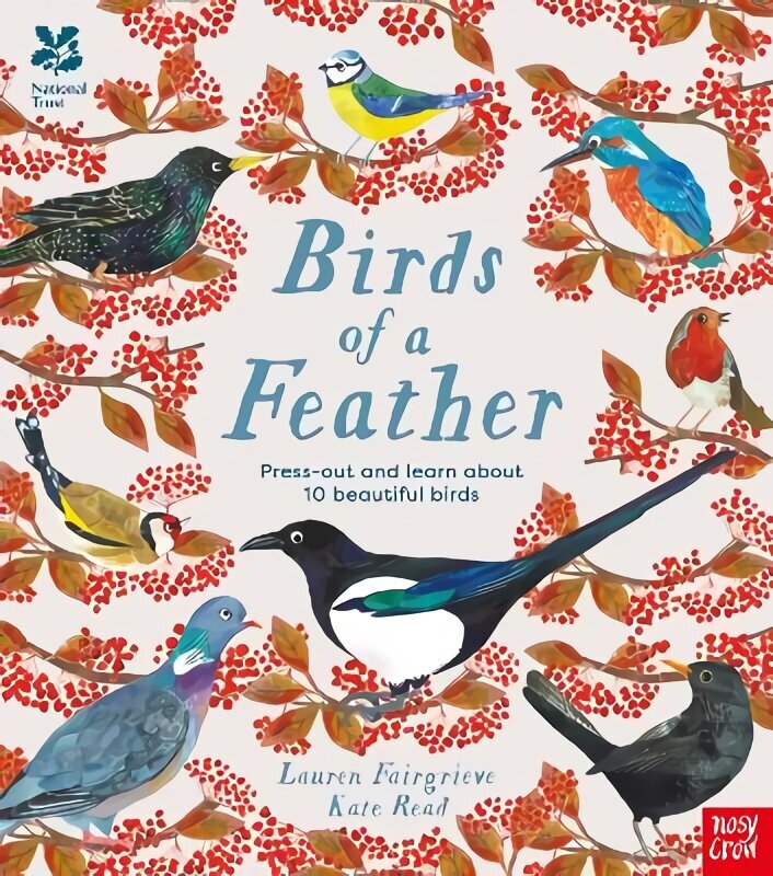 National Trust: Birds of a Feather: Press out and learn about 10 beautiful birds cena un informācija | Grāmatas pusaudžiem un jauniešiem | 220.lv