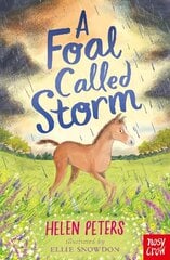 Foal Called Storm cena un informācija | Grāmatas pusaudžiem un jauniešiem | 220.lv