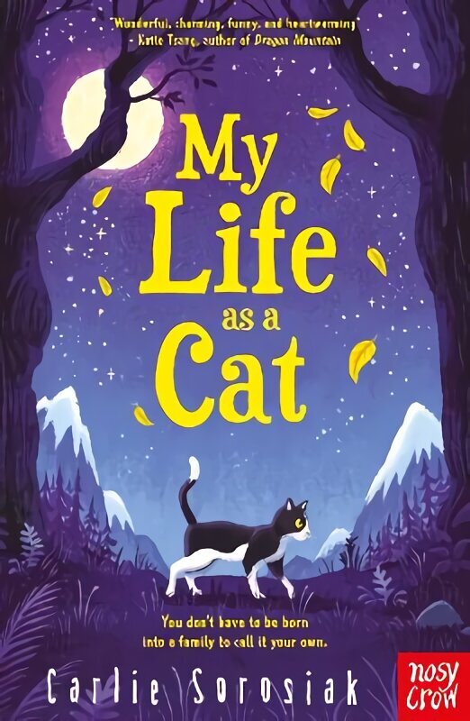 My Life as a Cat цена и информация | Grāmatas pusaudžiem un jauniešiem | 220.lv