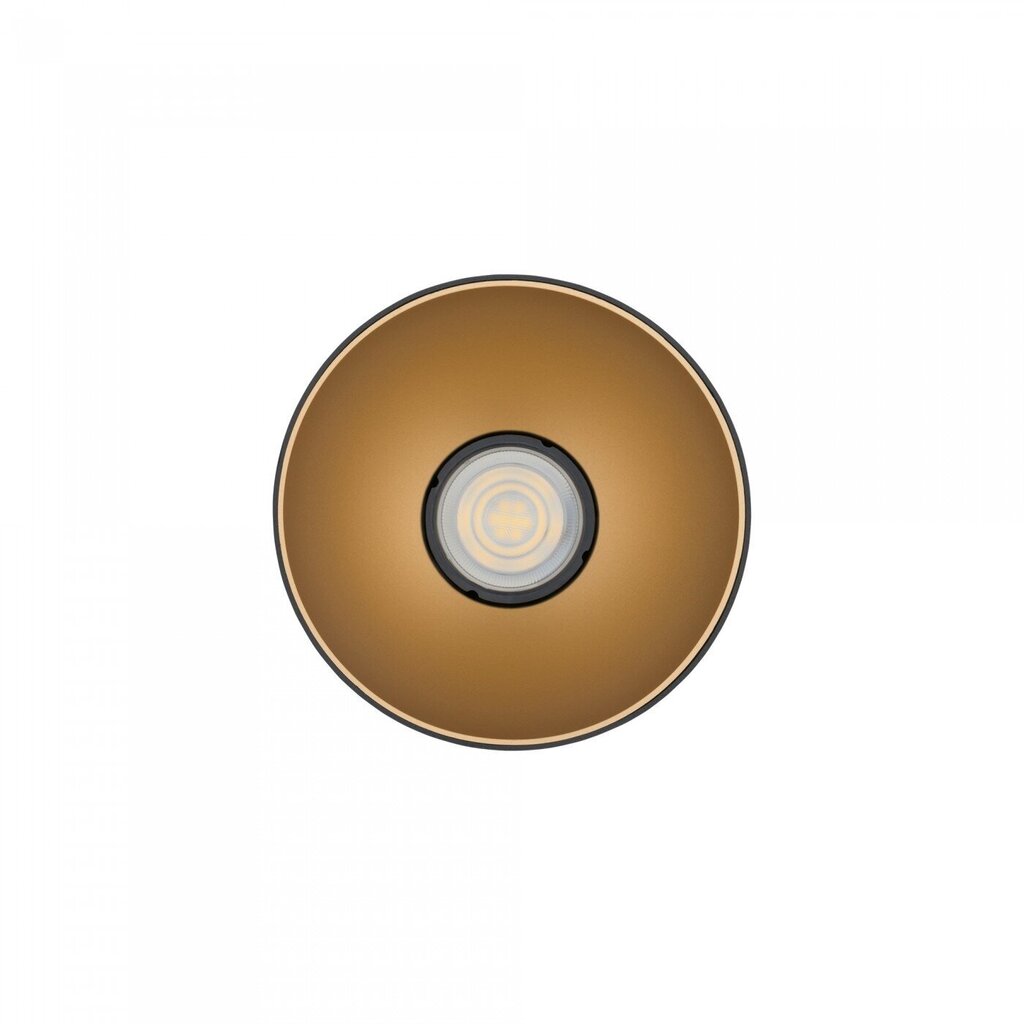 Griestu lampa Nowodvorski POINT TONE 8224 цена и информация | Griestu lampas | 220.lv