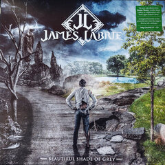 James LaBrie - Beautiful Shade Of Grey, LP, виниловая пластинка, 12" vinyl record, +CD цена и информация | Виниловые пластинки, CD, DVD | 220.lv