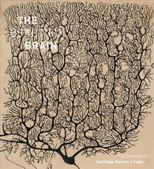 Beautiful Brain: The Drawings of Santiago Ramon y Cajal cena un informācija | Mākslas grāmatas | 220.lv