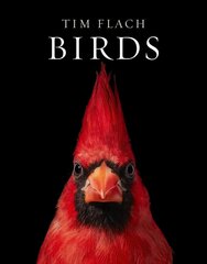 Birds cena un informācija | Grāmatas par fotografēšanu | 220.lv