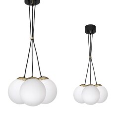 Piekaramā lampa Milagro SPARTA BLACK / GOLD 3xE14 cena un informācija | Lustras | 220.lv