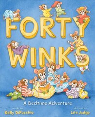 Forty Winks: A Bedtime Adventure цена и информация | Книги для самых маленьких | 220.lv
