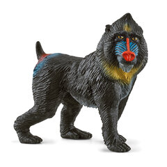 Фигурка Schleich Wild Life Mandrill, 1 шт. цена и информация | Игрушки для мальчиков | 220.lv