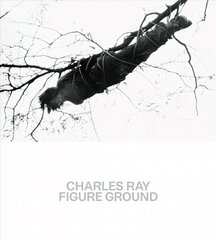 Charles Ray: Figure Ground cena un informācija | Mākslas grāmatas | 220.lv