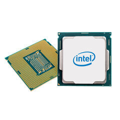 Intel Pentium Gold G6405 4,10 GHz LGA1200 cena un informācija | Procesori (CPU) | 220.lv