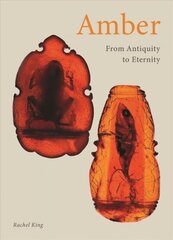 Amber: From Antiquity to Eternity cena un informācija | Sociālo zinātņu grāmatas | 220.lv