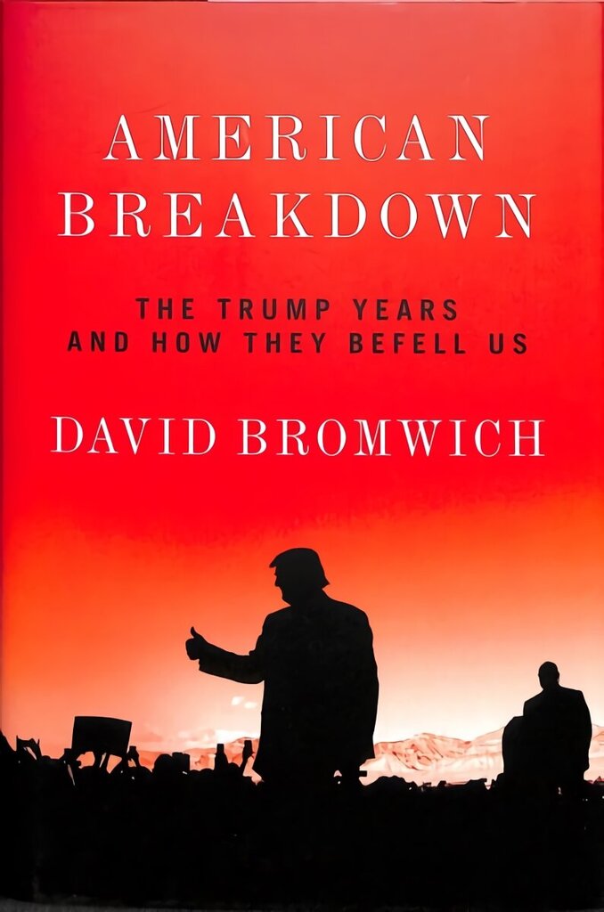 American Breakdown: The Trump Years and How They Befell Us цена и информация | Sociālo zinātņu grāmatas | 220.lv