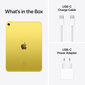 iPad 10.9" Wi-Fi + Cellular 64GB - Yellow 10th Gen - MQ6L3HC/A цена и информация | Planšetdatori | 220.lv