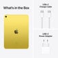 iPad 10.9" Wi-Fi + Cellular 64GB - Yellow 10th Gen - MQ6L3HC/A cena un informācija | Planšetdatori | 220.lv