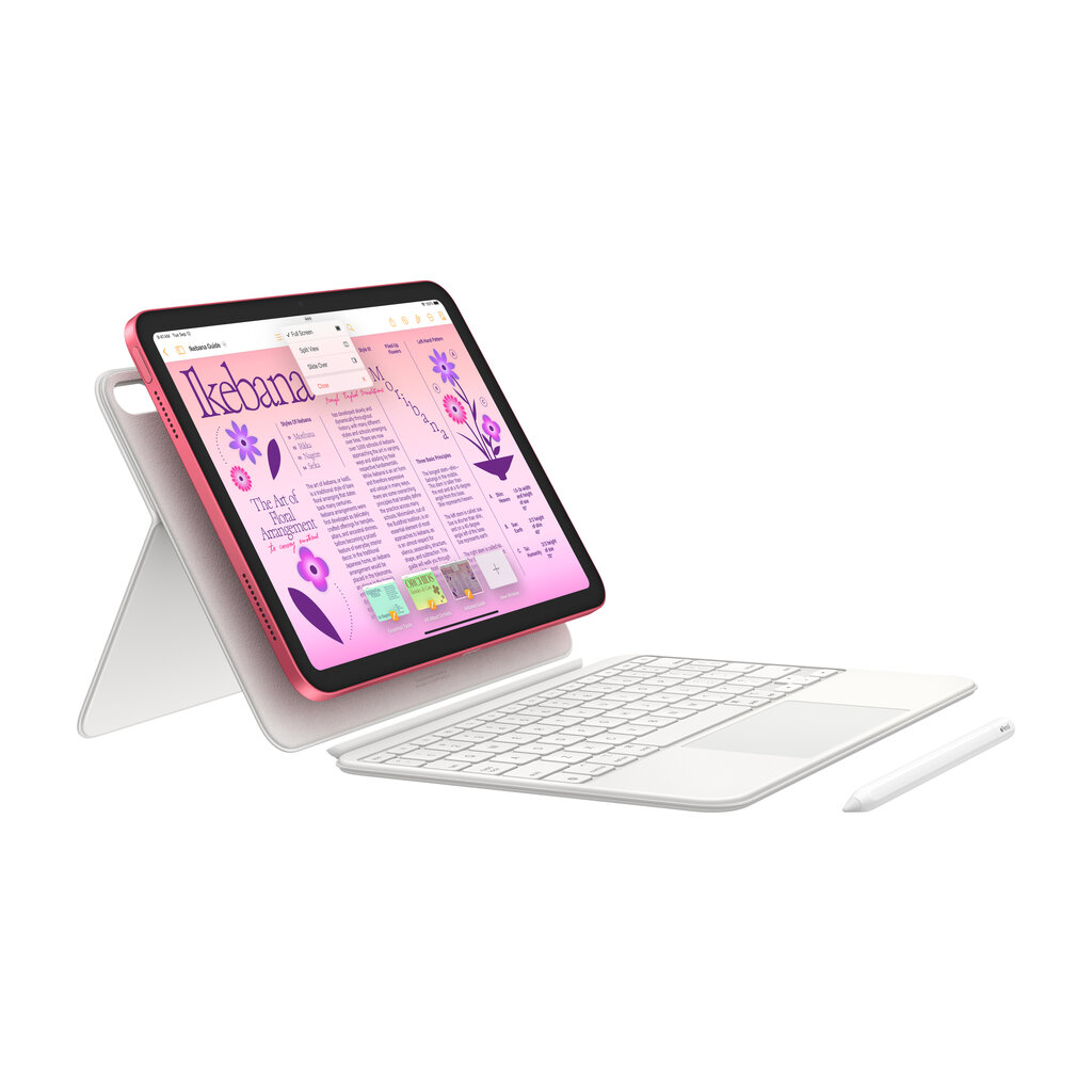 iPad 10.9" Wi-Fi 256GB - Pink 10th Gen - MPQC3HC/A цена и информация | Planšetdatori | 220.lv