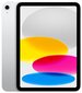 iPad 10.9" Wi-Fi 256GB - Silver 10th Gen - MPQ83HC/A cena un informācija | Planšetdatori | 220.lv