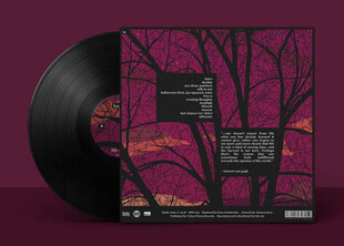 Autumn Keys - Harvest, LP, vinila plate, 12" vinyl record cena un informācija | Vinila plates, CD, DVD | 220.lv