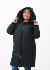 Пальто из ткани "болонья" цена и информация | Женские пальто | 220.lv
