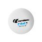 Galda tenisa bumbiņas CORNILLEAU P-BALL ABS EVOLUTION, 72 gab. цена и информация | Galda tenisa bumbiņas | 220.lv
