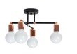 Lampa Rose Gold 392200 cena un informācija | Piekaramās lampas | 220.lv