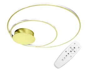 LED plafonlampa zelta APP803-C cena un informācija | Lustras | 220.lv