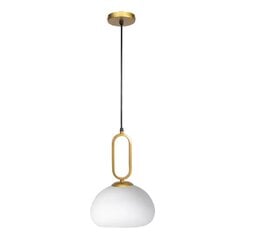 LOFT piekaramā lampa APP1073-1CP цена и информация | Люстры | 220.lv