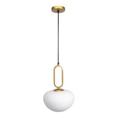 LOFT piekaramā lampa APP1074-1CP cena un informācija | Piekaramās lampas | 220.lv