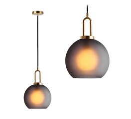 Piekārtā griestu lampa 20cm App626-1cp stikla bumba цена и информация | Люстры | 220.lv