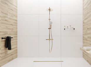 Rea Neo Slim Mirror Gold Pro 60 lineārā drenāža cena un informācija | Dušas trapi | 220.lv