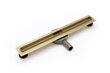 Rea Neo Slim Mirror Gold Pro 60 lineārā drenāža цена и информация | Dušas trapi | 220.lv