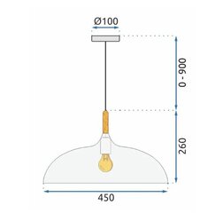 ANZO griestu lampa Melns цена и информация | Настенный/подвесной светильник Eye Spot 11 BL, чёрный | 220.lv