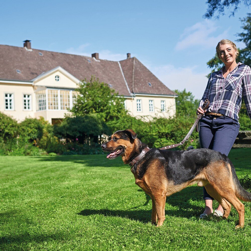 Suņa kaklasiksna Hunter Swiss Melna, brūna (47-54 cm) cena un informācija | Apkakles, siksnas suņiem | 220.lv