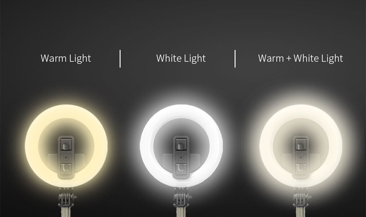 LED selfiju nūja - statīvs ar gredzena lampu un Bluetooth tālvadības pulti цена и информация | Selfie Sticks | 220.lv