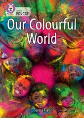 Our Colourful World: Band 12/Copper cena un informācija | Grāmatas pusaudžiem un jauniešiem | 220.lv