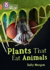 Plants that Eat Animals: Band 12/Copper цена и информация | Книги для подростков и молодежи | 220.lv