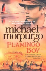 Flamingo Boy цена и информация | Книги для подростков  | 220.lv