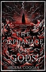 Orphanage of Gods цена и информация | Книги для подростков и молодежи | 220.lv