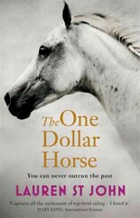 One Dollar Horse: Book 1, Book 1 cena un informācija | Grāmatas pusaudžiem un jauniešiem | 220.lv