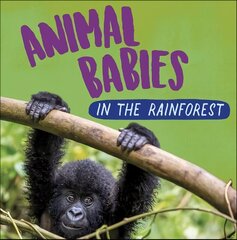 Animal Babies: In the Rainforest cena un informācija | Grāmatas pusaudžiem un jauniešiem | 220.lv